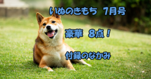 いぬのきもち　7月号　雑誌　付録